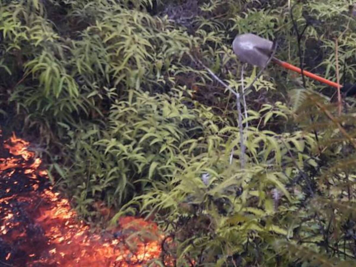 La ola de calor tiene en alerta a los organismos de socorro