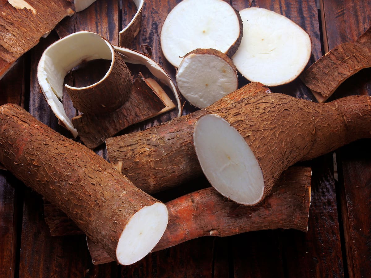 ¿Qué propiedades medicinales tiene la cáscara de la yuca? Esto dicen expertos
