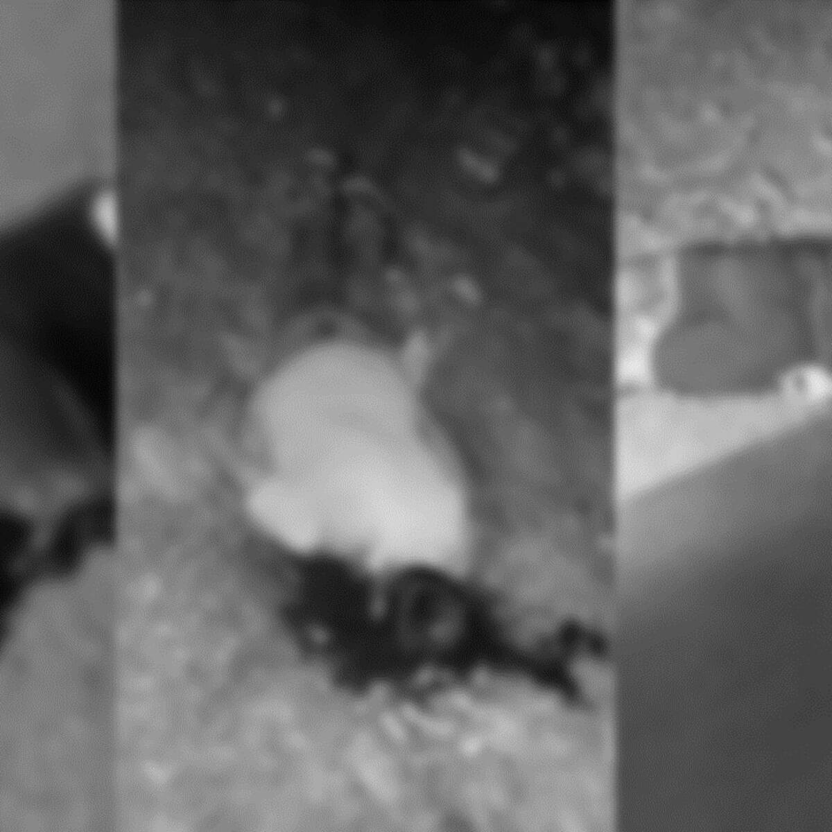 Se reporta segundo triple homicidio en el Putumayo este 2024