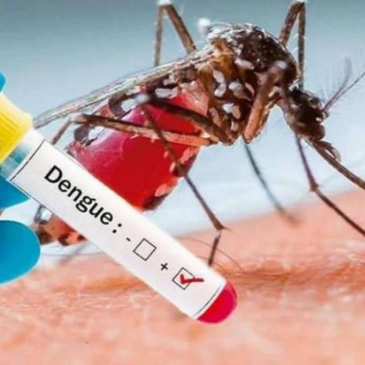 Más de 5 mil casos de dengue se reportan en la capital huilense