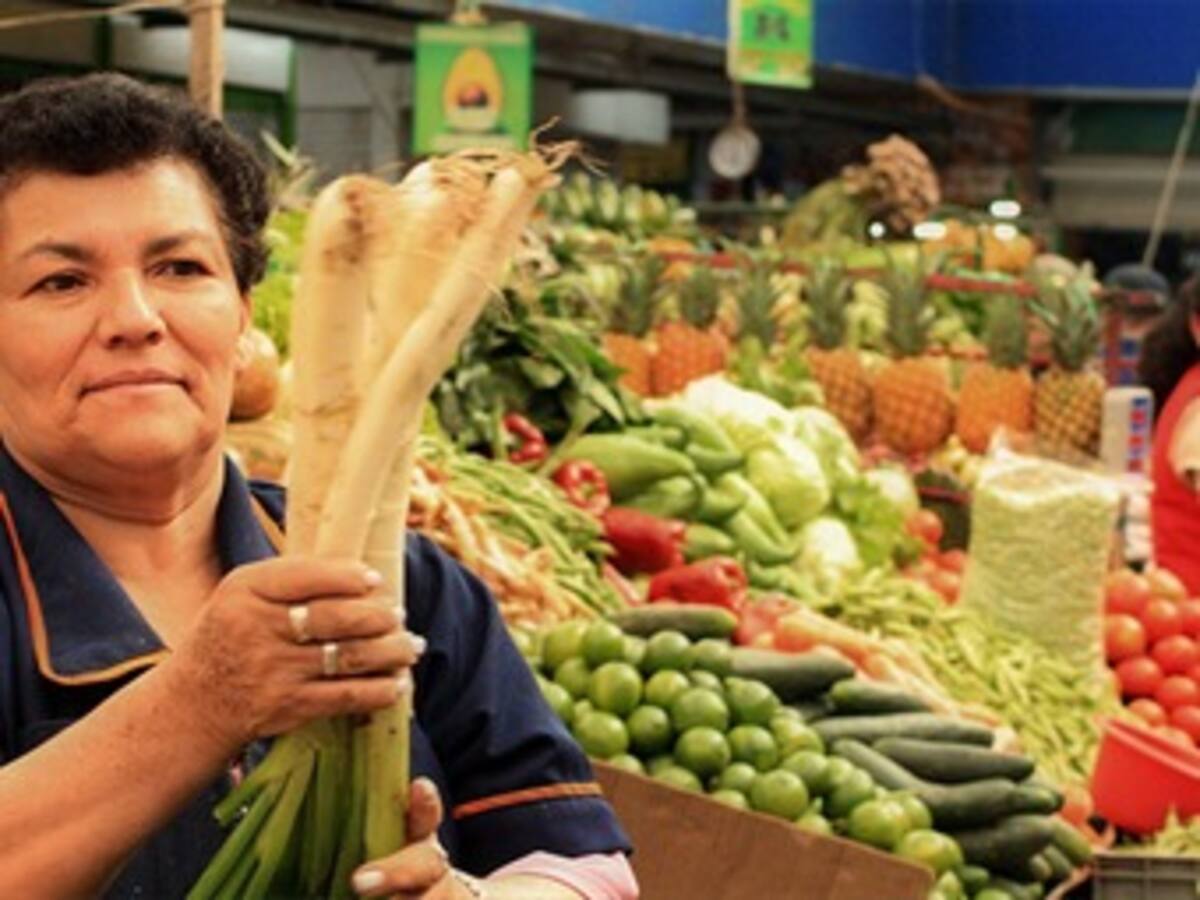 FAO prevé en 2013-2014 un mayor equilibrio del mercado alimentario mundial