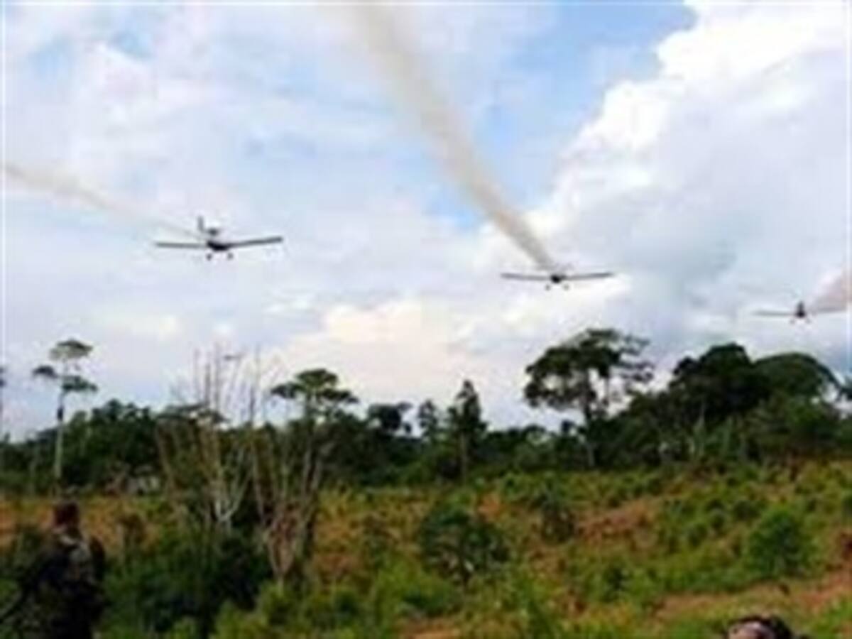 Vuelven las fumigaciones con glifosato al Putumayo