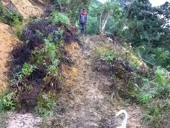 Deslizamientos afectan la zona rural de Ibagué