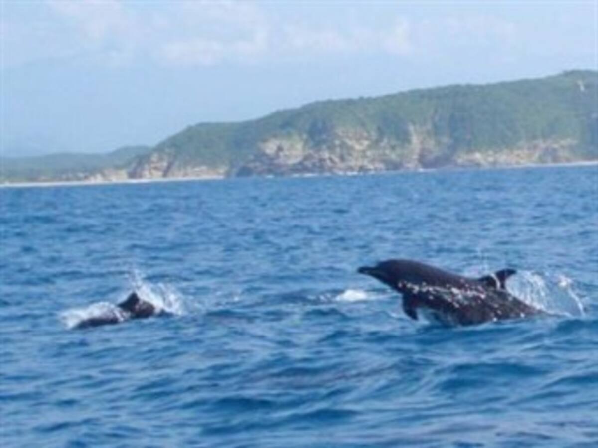 APEC alerta ante depredación de océanos y efectos de contaminación en el mar