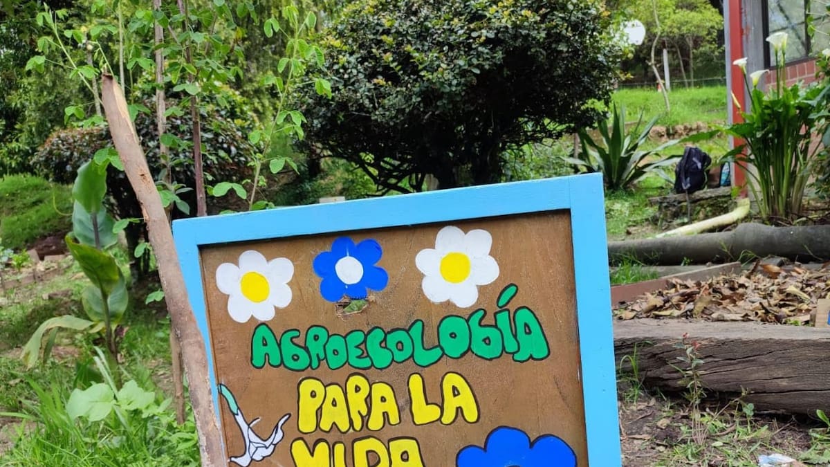 Así es la agroecología, un movimiento social por una buena alimentación