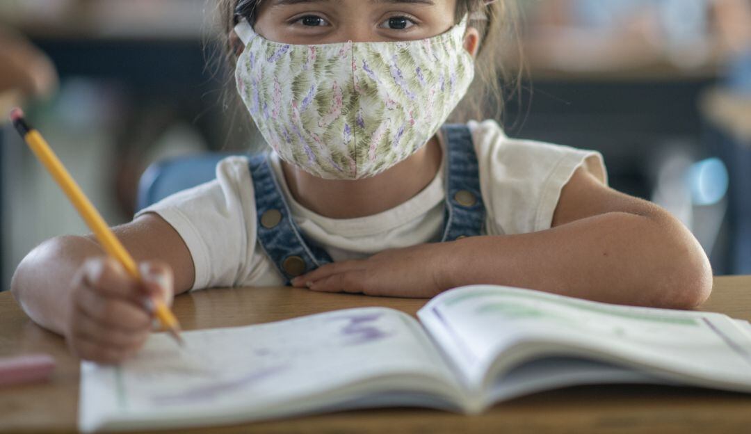 Imagen de referencia