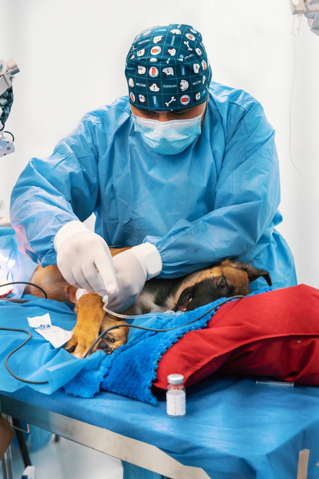 Foto: Alcaldía de Pereira