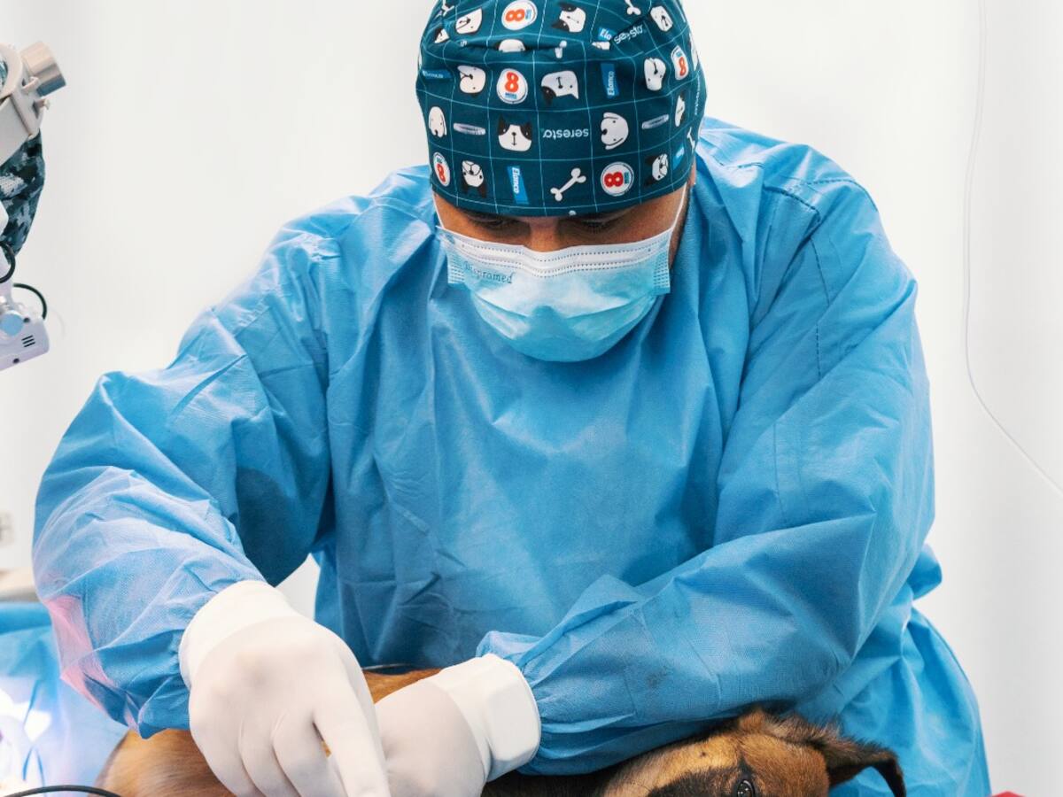 El Hospital Público Veterinario abrió su segunda sede en el sector de 2.500 lotes