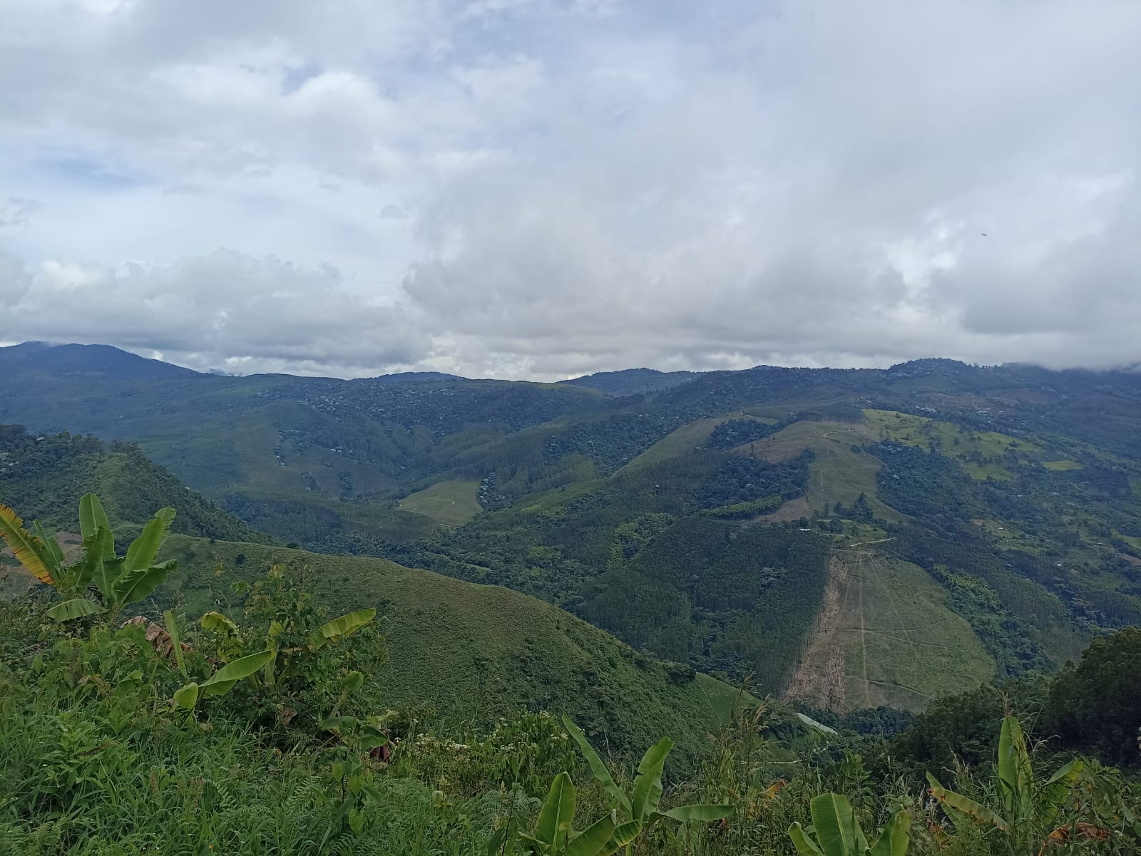 Zona cordillerana del Quindío, Génova