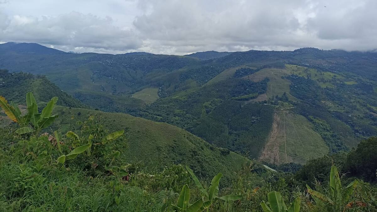 Lunes 17 de julio, las noticias más importantes de Armenia y Quindío