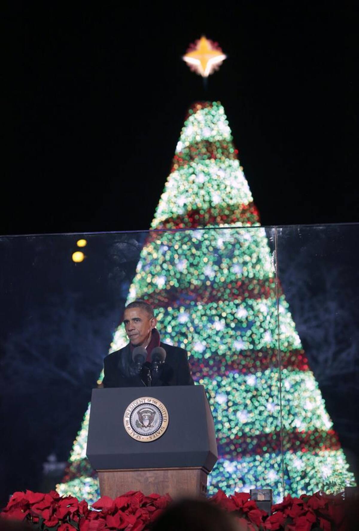Árboles humanos, en los ríos y las ciudades más emblemáticas del mundo inundadas de luces y de la magia de la navidad. / Casa Blanca, Washington EEUU