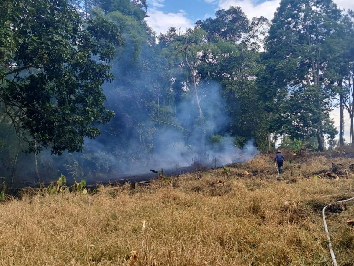 Alerta en el Quindío por los incendios de cobertura vegetal ante las altas temperaturas