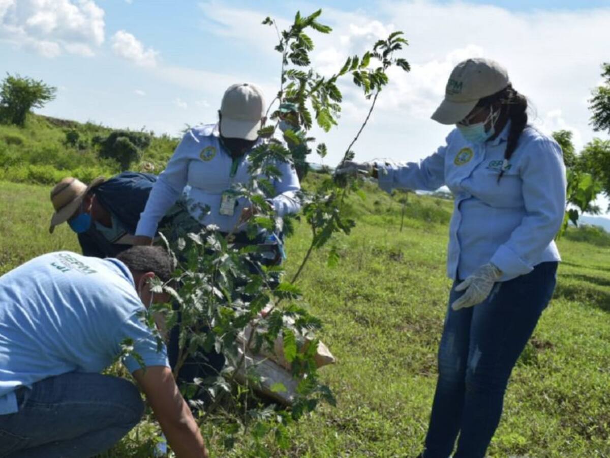 Recuperan zonas circundantes de un canal en El Pozón, en Cartagena