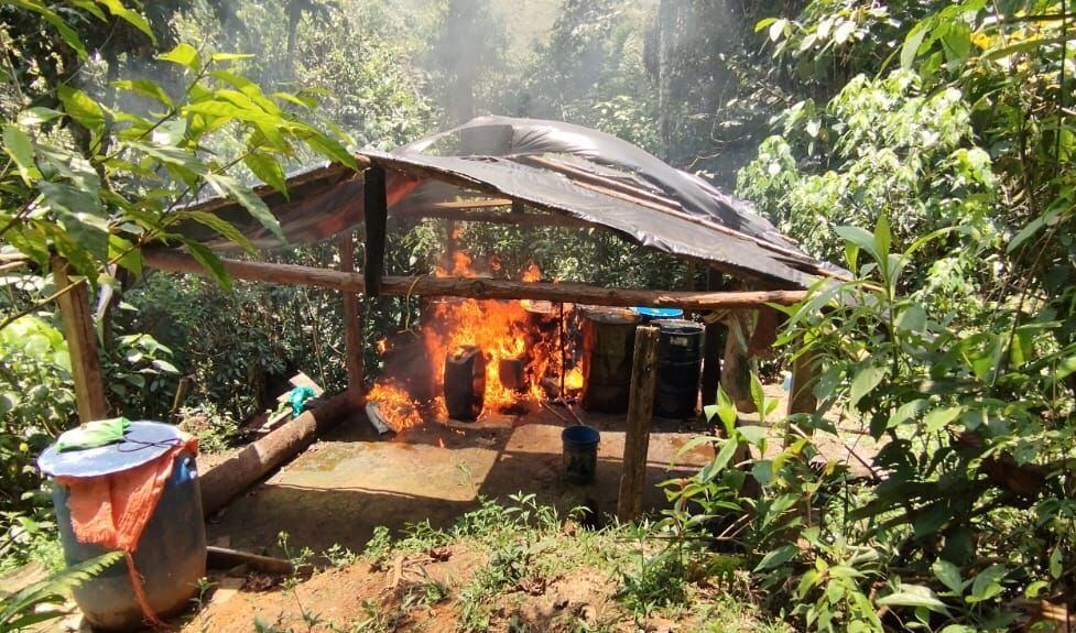 Laboratorio de coca- foto ejército