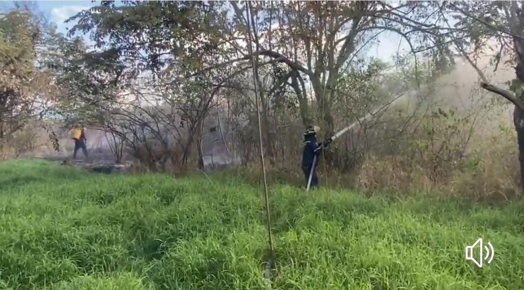 Se registran registra 7 incendios forestales.