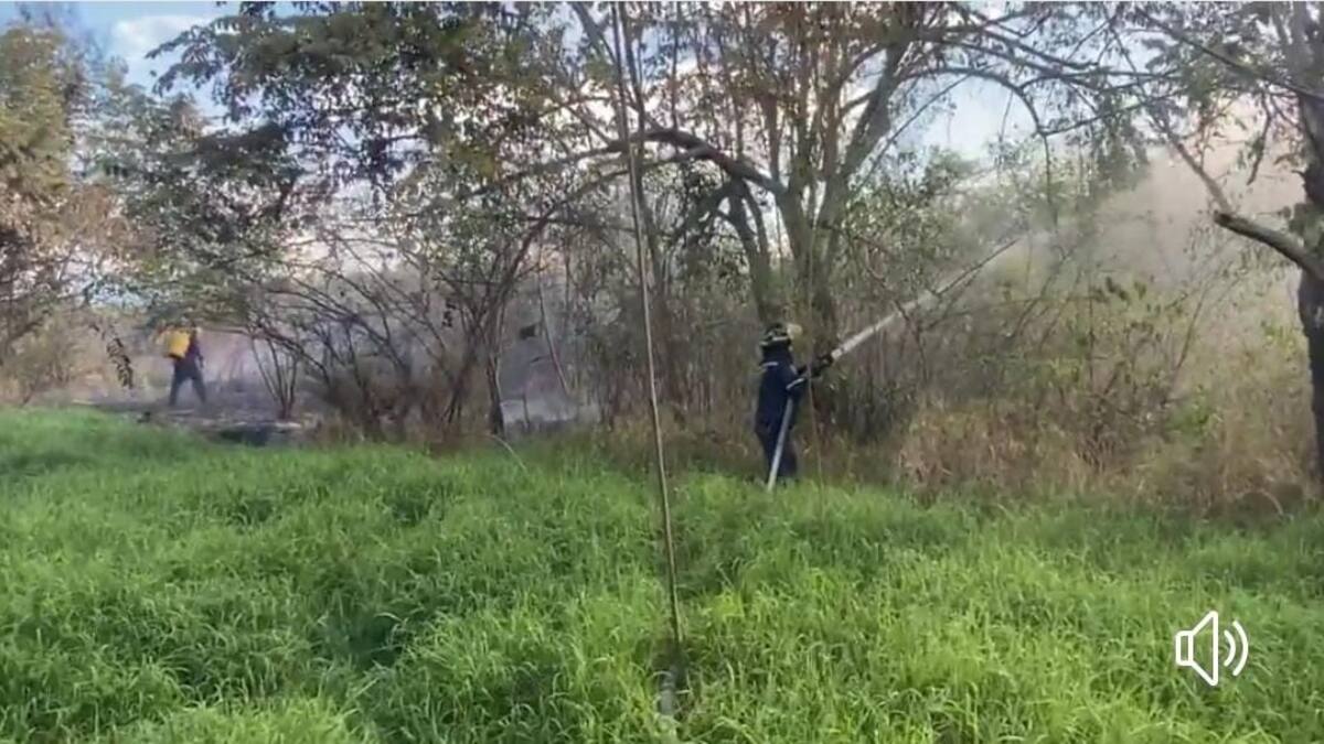 Segunda temporada seca del año registra 7 incendios forestales