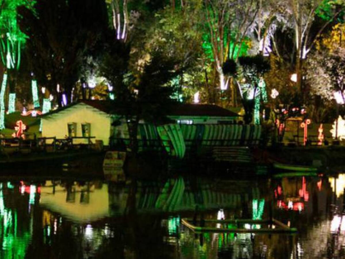 ¿A los jóvenes ahora poco les gusta la Navidad?