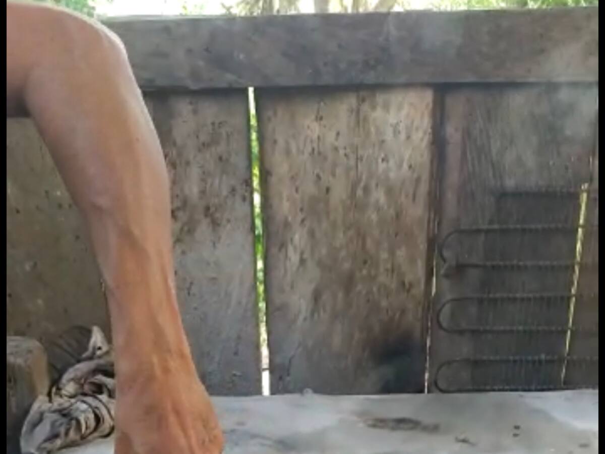 Natilla de arroz, otra opción deliciosa para la Navidad y el Año Nuevo