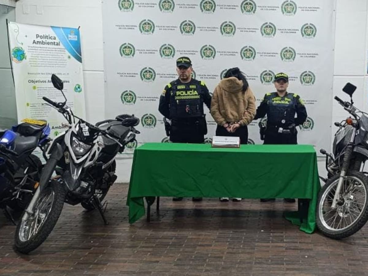 Gracias al GPS de una moto, la Policía recuperó seis vehículos hurtados y capturó a una mujer