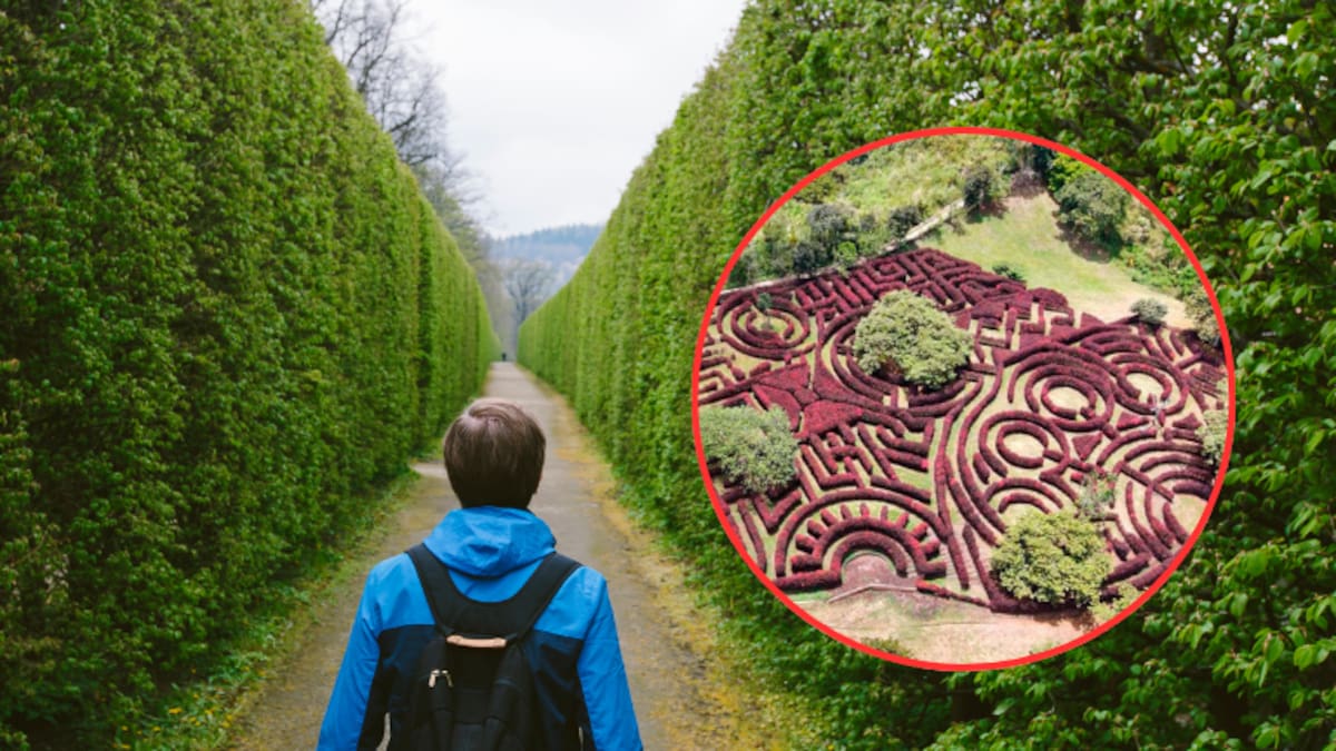 Cómo llegar al 'Laberinto Mil Caminos': un nuevo destino para disfrutar en el Quindío