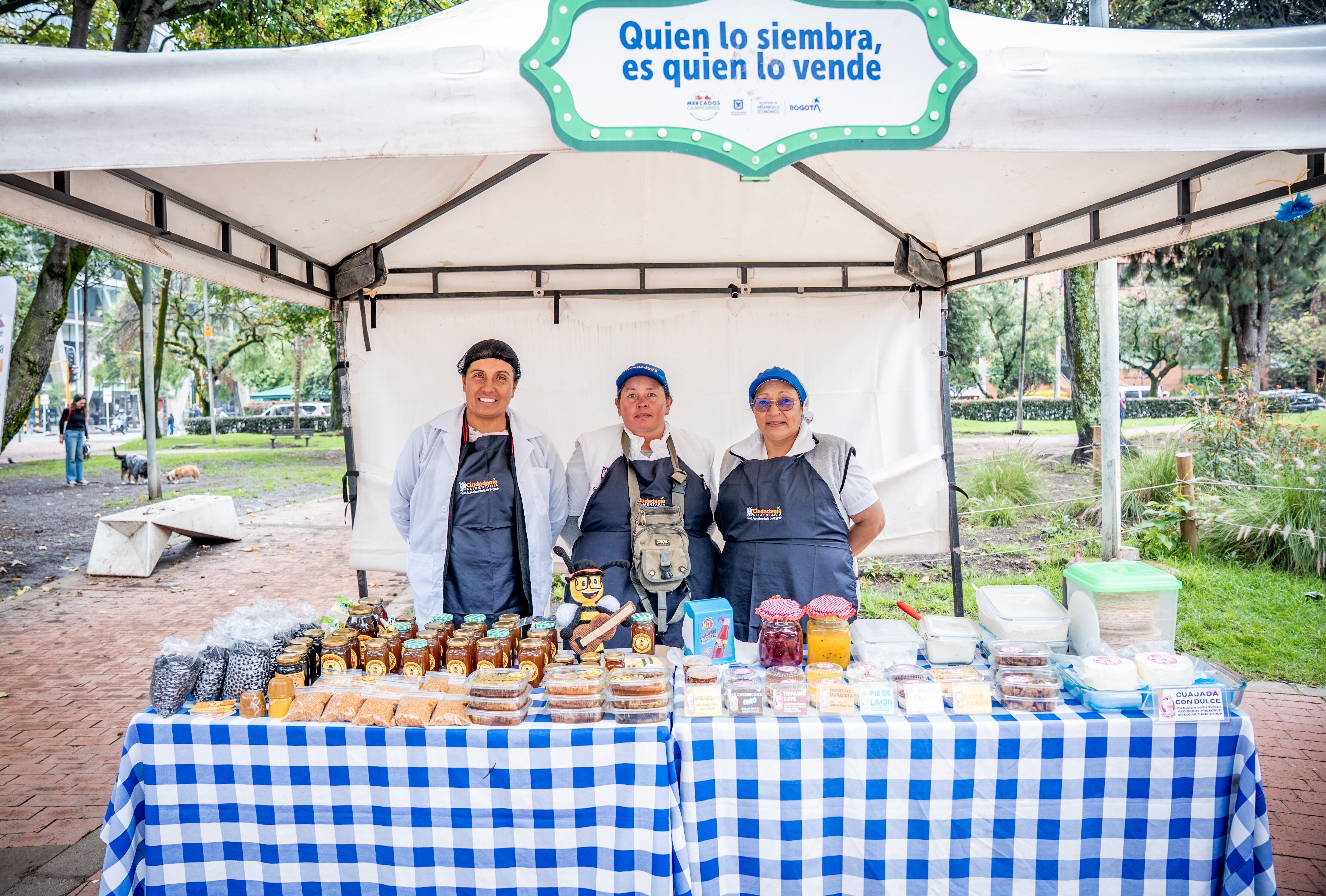 Cortesía: Secretaría de Desarrollo Económico