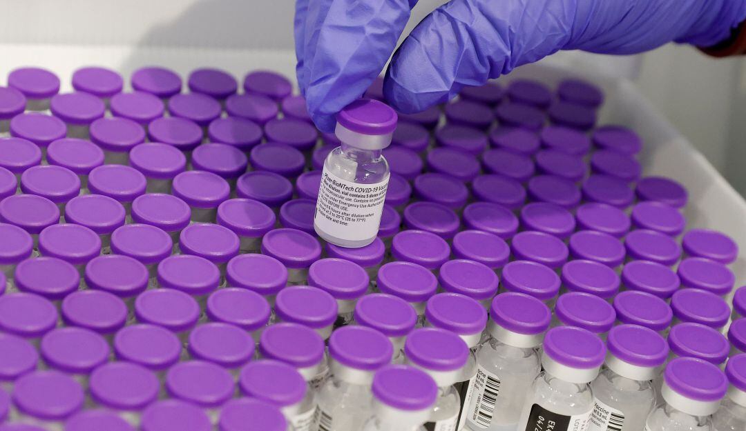 Pfizer podría convertirse en la primera vacuna avalada para el Gobierno nacional.