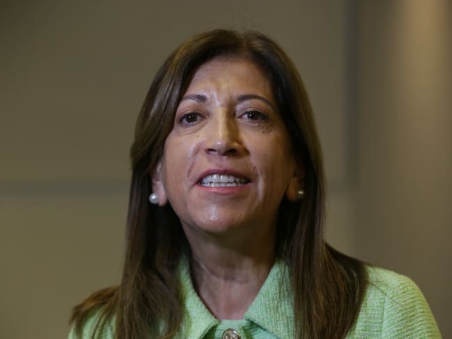Martha Lucia Zamora, Directora de la Agencia Nacional de Defensa Jurídica del Estado. (Colprensa - Camila Díaz)
