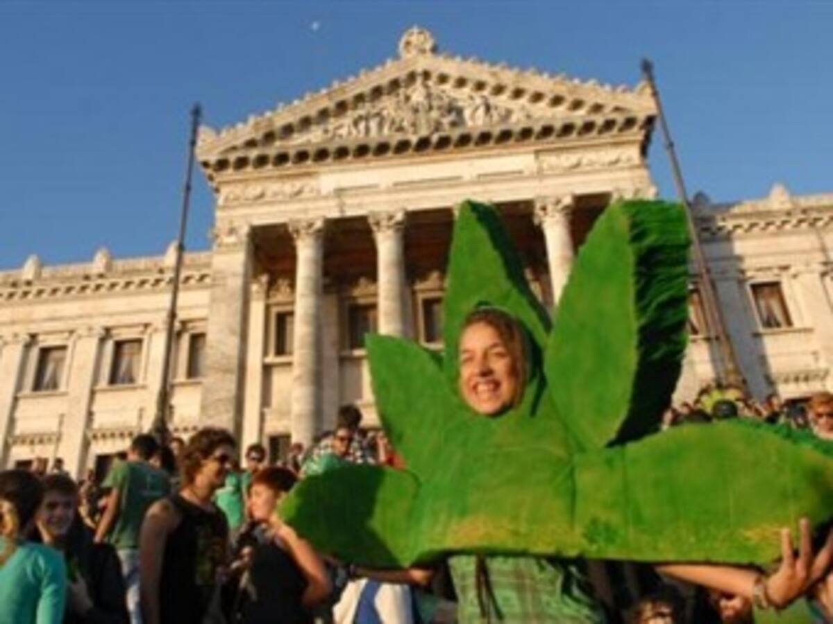 Uruguayos exhiben orgullosos marihuana ante un mundo de prohibición