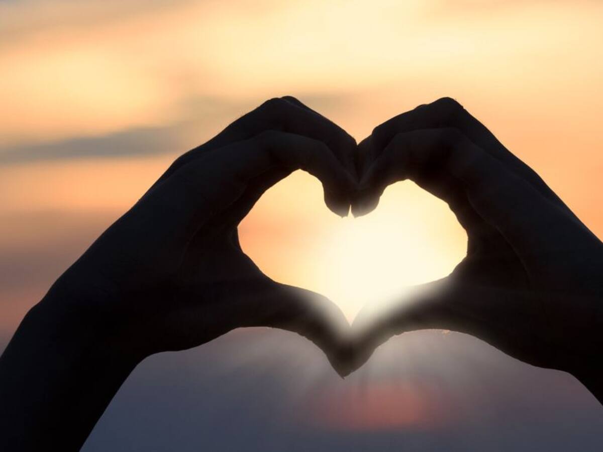 Un amor que va más allá de la compatibilidad genética