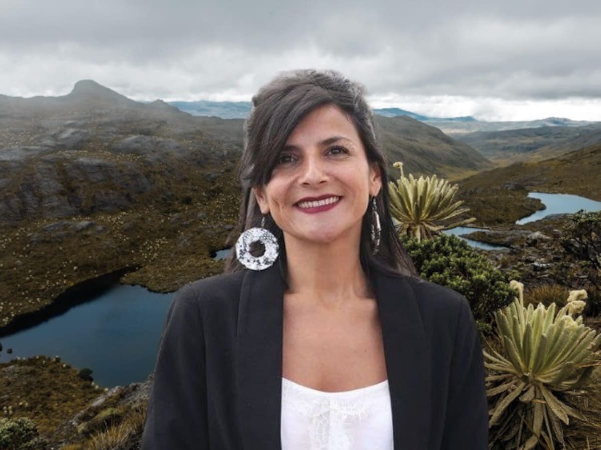 MinAmbiente explicó nueva delimitación de páramo Santurbán y aclara qué minería seguirá permitida