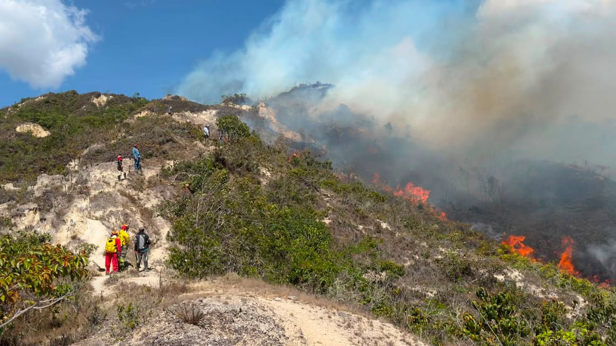 Alerta por incendio forestal en La Playa de Belén, Norte de Santander