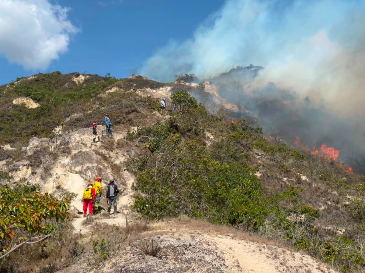 Incendios en Colombia: 114 municipios en riesgo y La Guajira en alerta roja, según el IDEAM