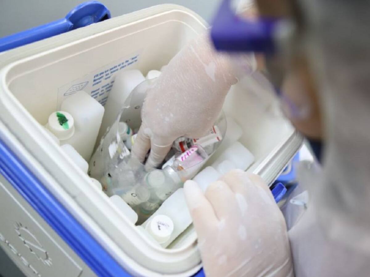 Valle llegó a 531 contagiados por Covid-19. Cali tiene 420 casos