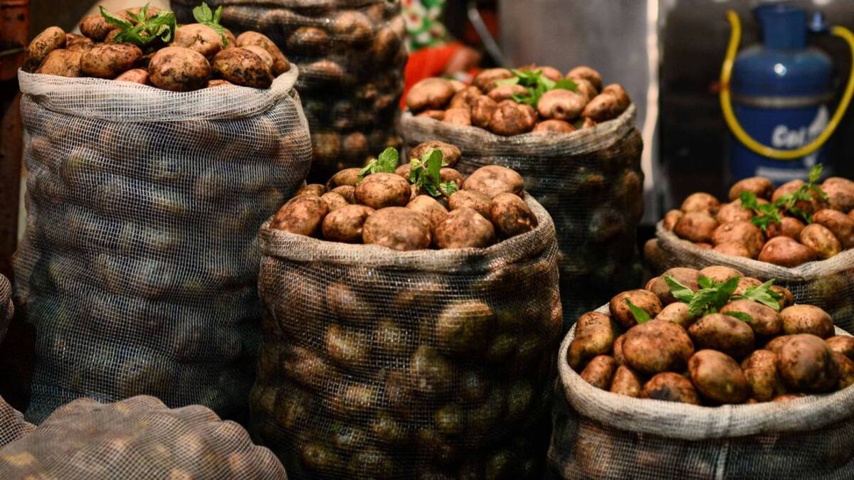 Éxito en programas para reactivar el agro en Cundinamarca