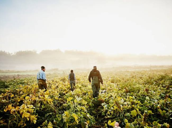 La agricultura en Colombia es la industria con mayor consumo de agua, utilizando cerca del 43% al 70% del recurso hídrico. La razón esta asociada, más allá de su uso tradicional, al desperdicio por fugas y a la infraestructura deficiente empleada en su gestión. | Foto: Getty Images