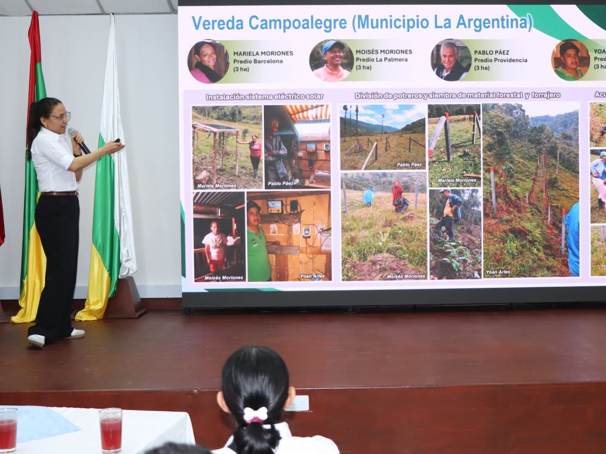 Más producción sostenible y menos presión sobre los páramos del Macizo Colombiano