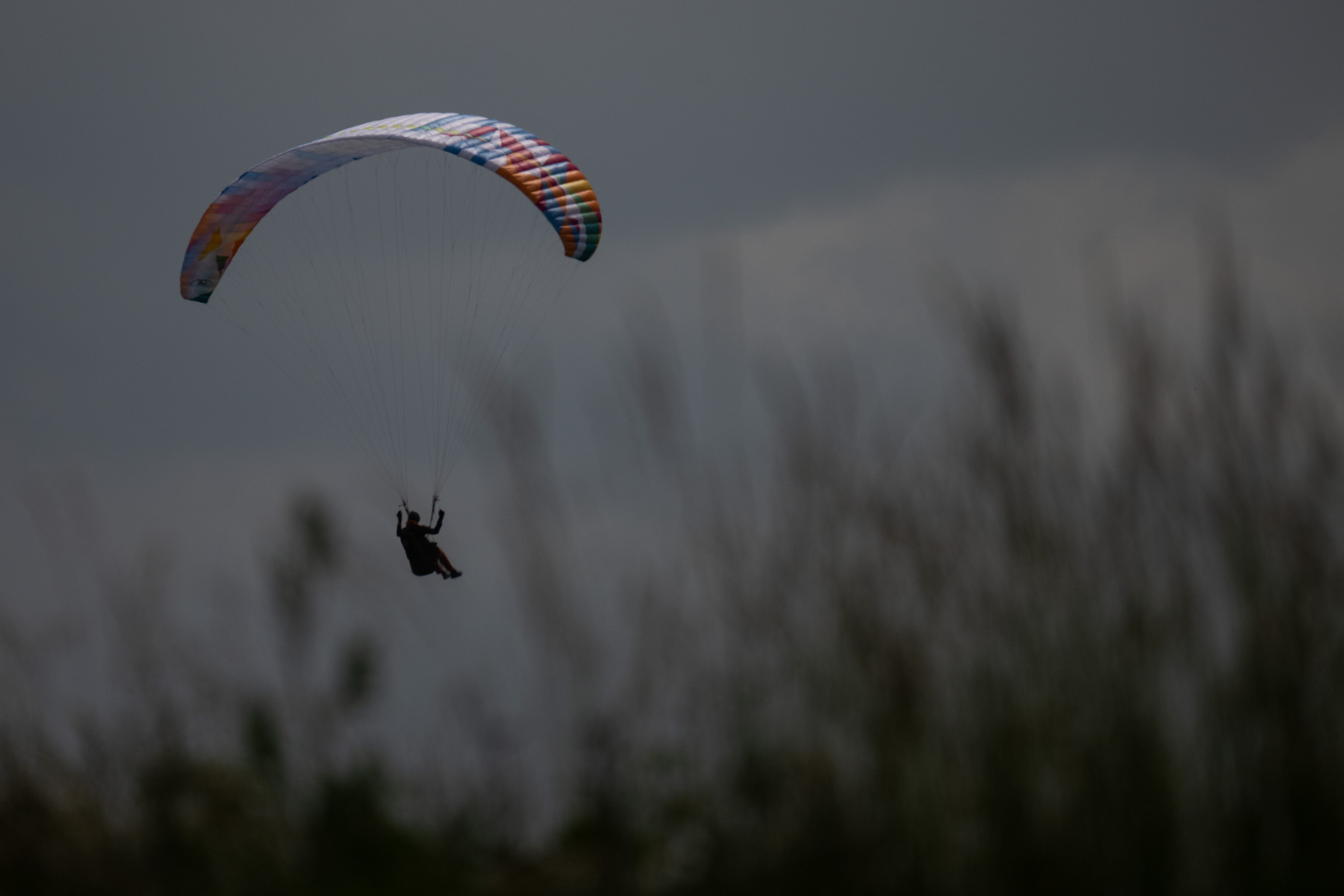 Imagen de referencia: Sebastian Gollnow/picture alliance via Getty Images.