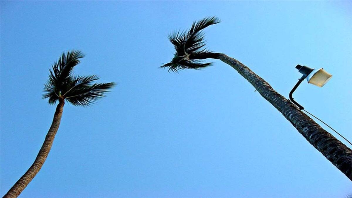 "Esta foto la tomamos en un bello atardecer de invierno en Málaga, España, en diciembre 2012. Días antes de nuestro compromiso, en unas vacaciones románticas que hicimos por Europa", nos cuenta María Paolini.