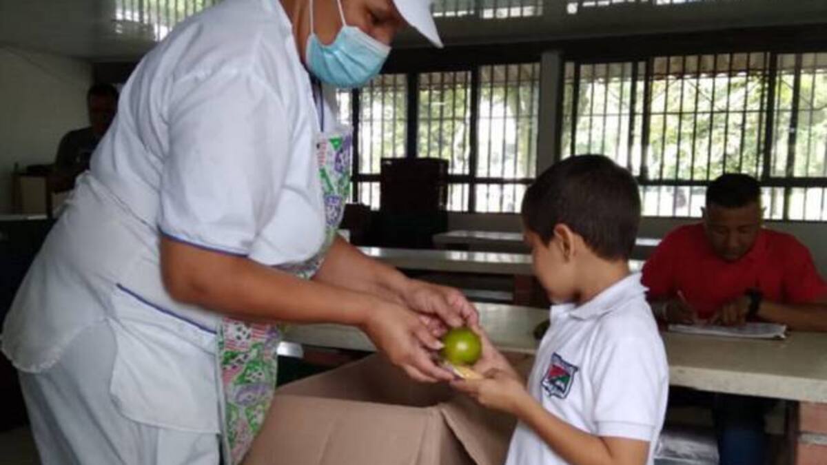 Informe PAE en Quindío