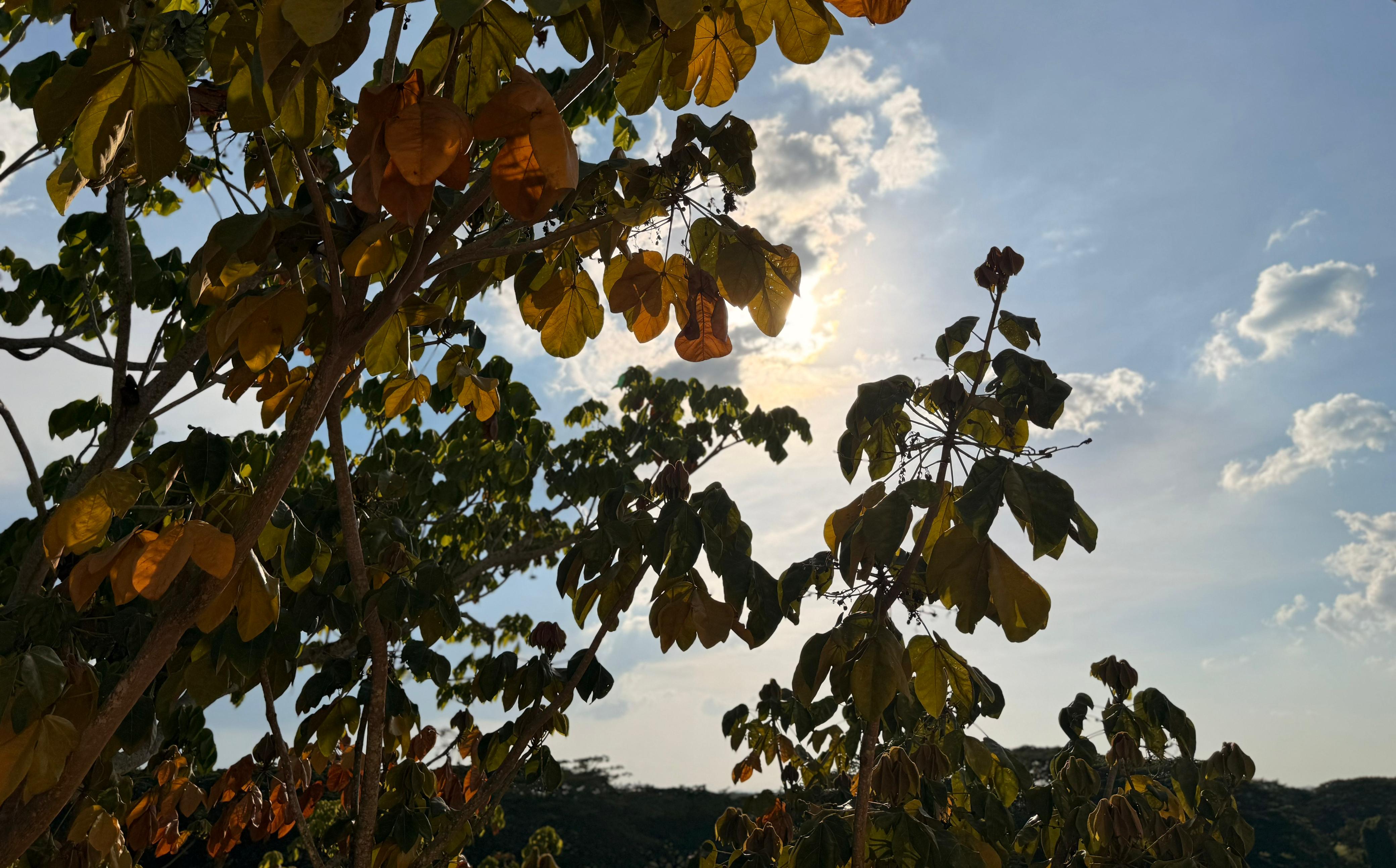 Alertan por las altas temperaturas en Montería: ha alcanzado una sensación térmica de 39°C. Foto: prensa CVS.