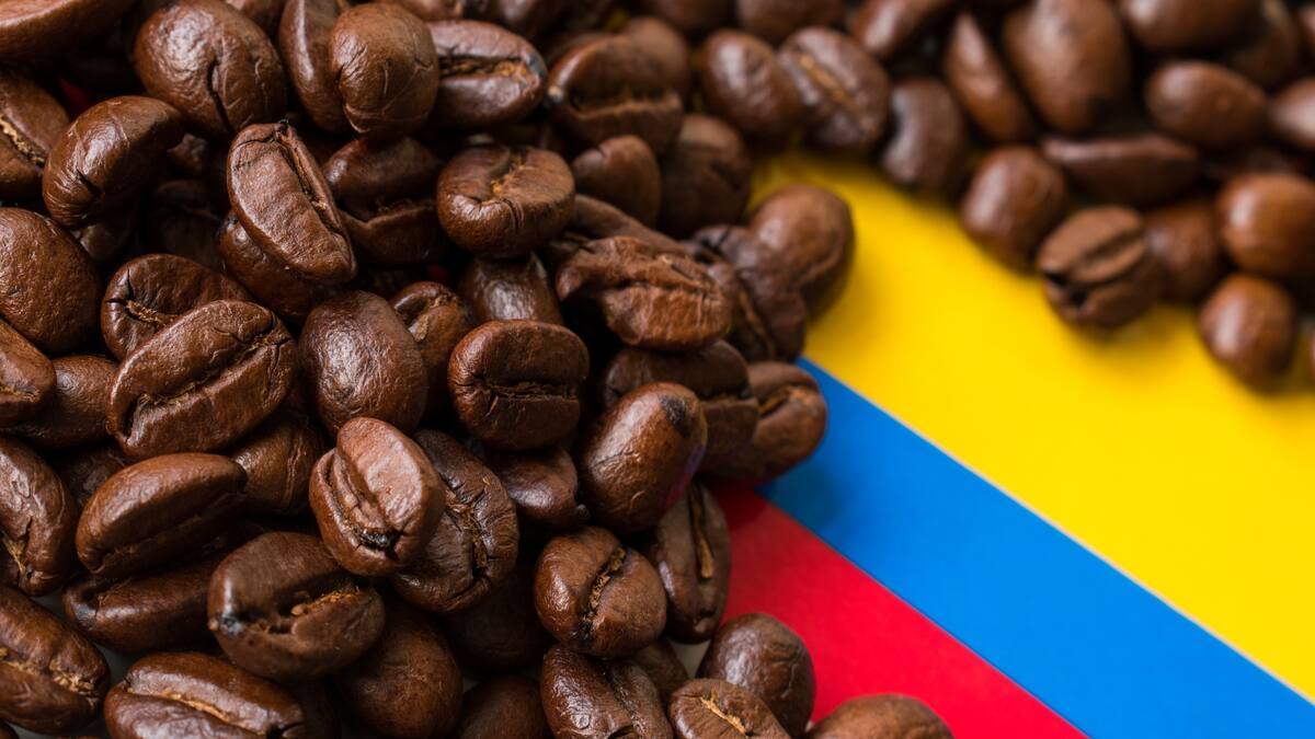 Producto que genera empleo y valor: AsoExport por decisión de EE.UU. de quitar aranceles al café
