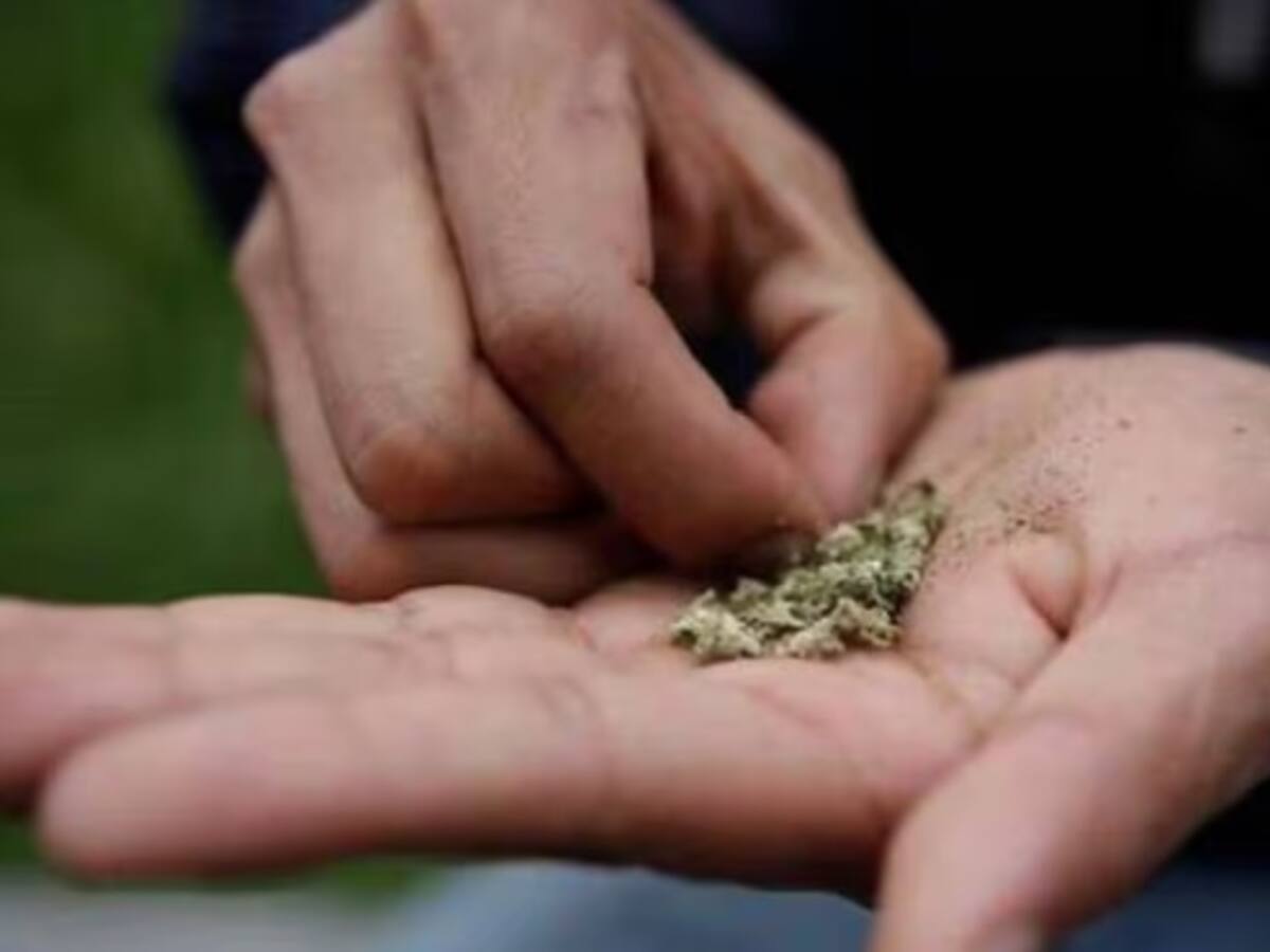 ¿Qué dicen ciudadanos en Armenia sobre consumo de drogas en espacios deportivos?