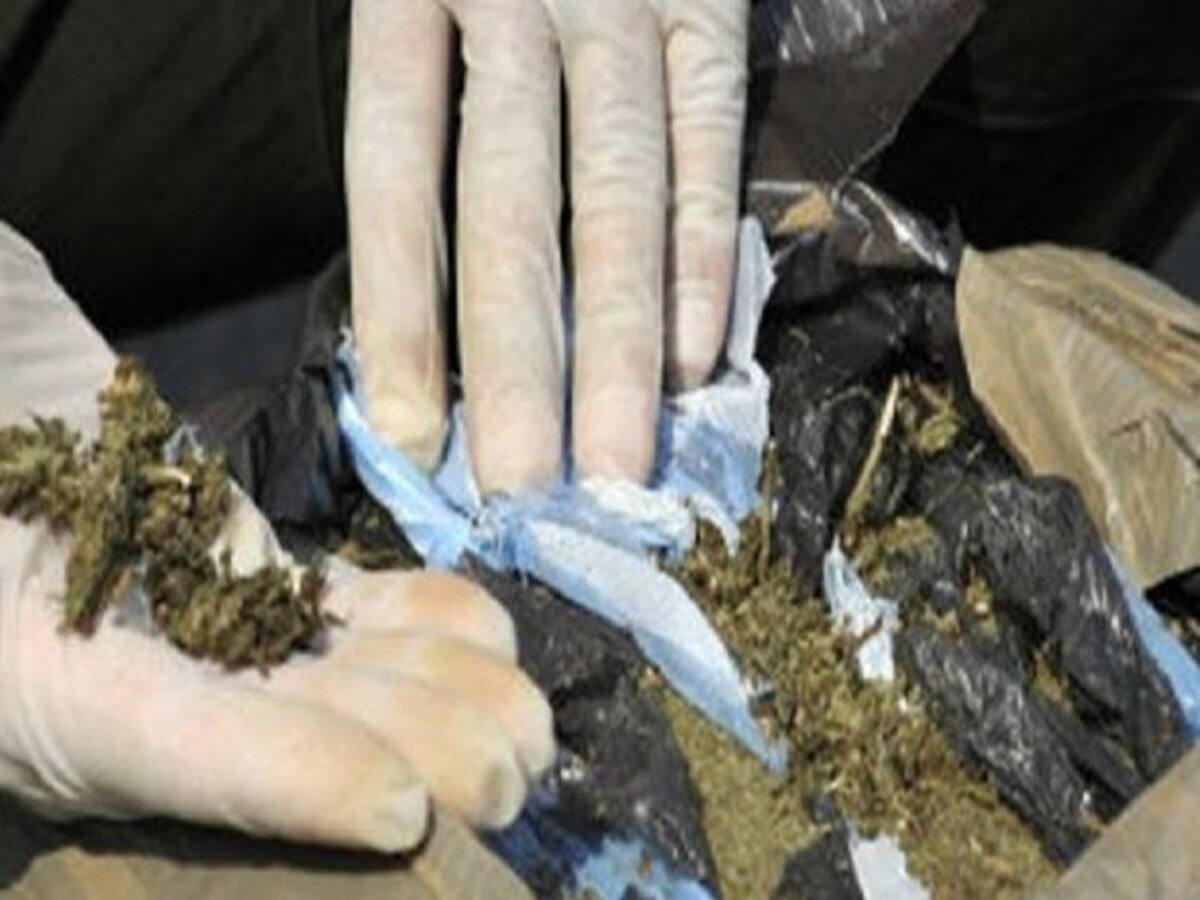 Más de 1.400 gramos de marihuana encontraron en allanamientos de Tunja