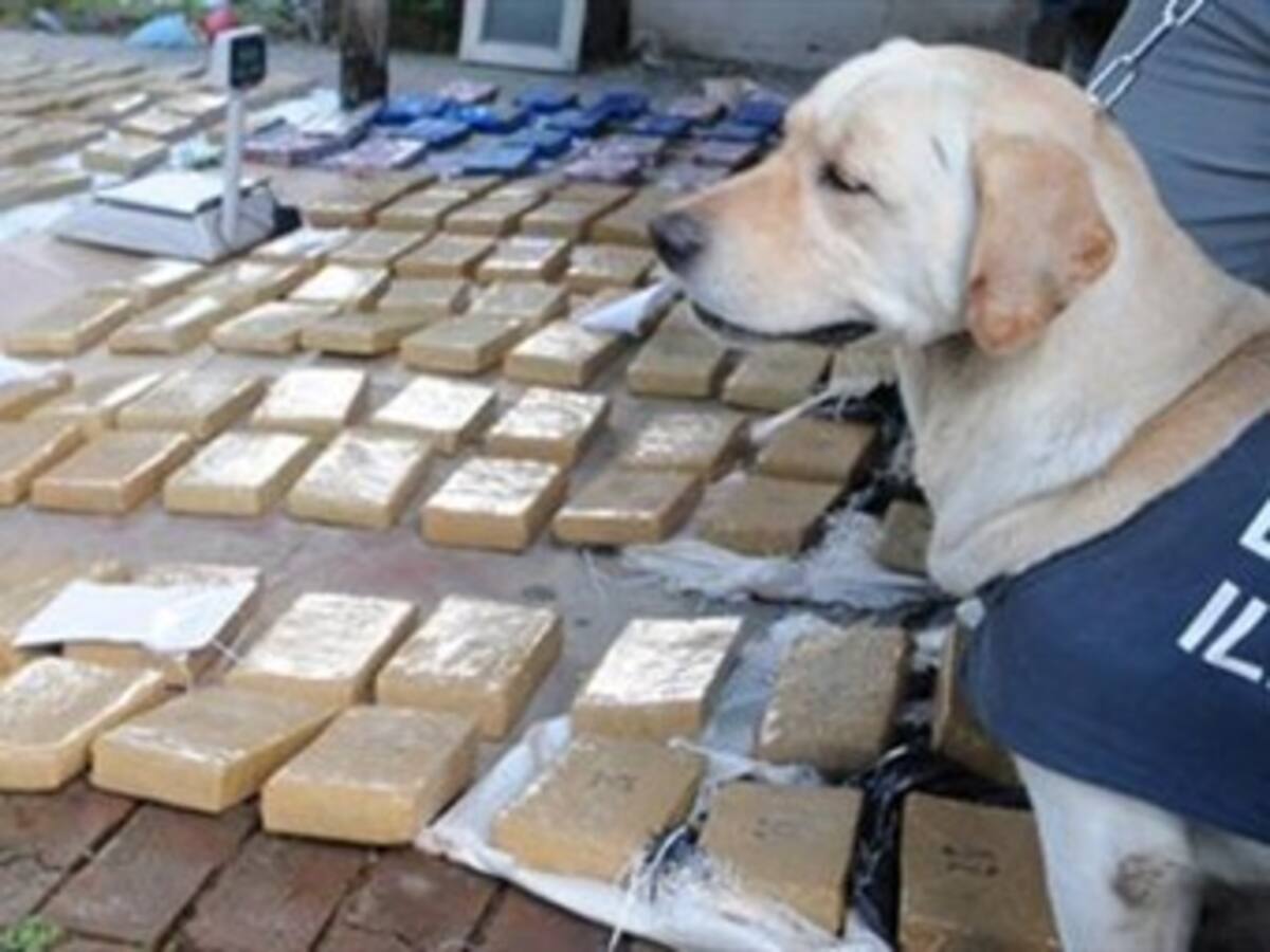 Camuflada en un reloj, Policía incautó cocaína en el aeropuerto El Edén, Armenia