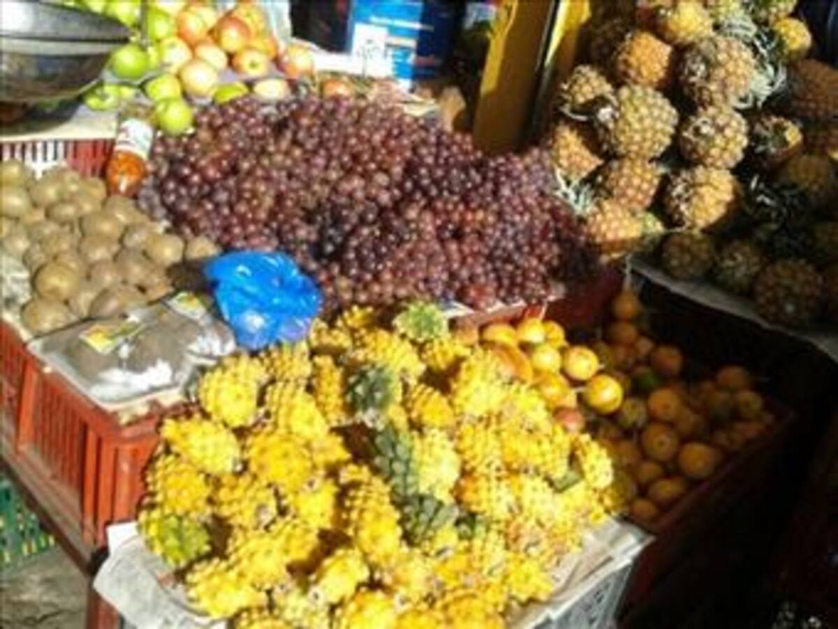 El cambio climático no dificultará el abastecimiento de alimentos