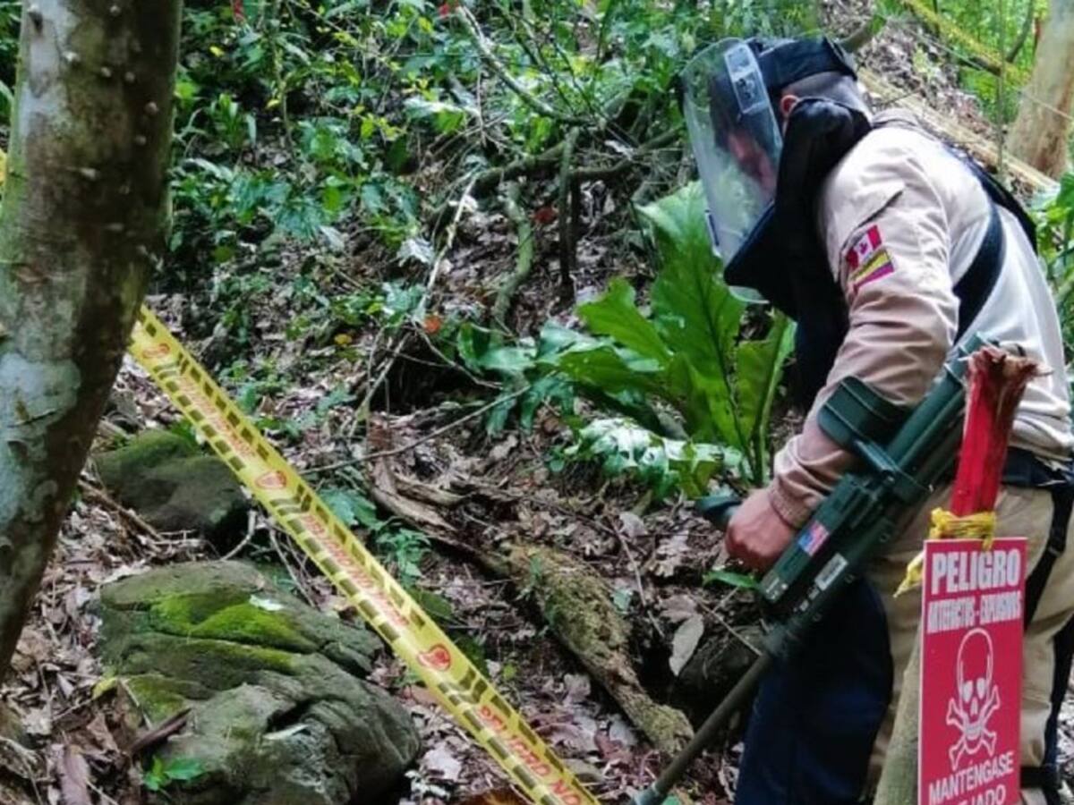 Montes de María: 14 municipios libres de minas antipersonales