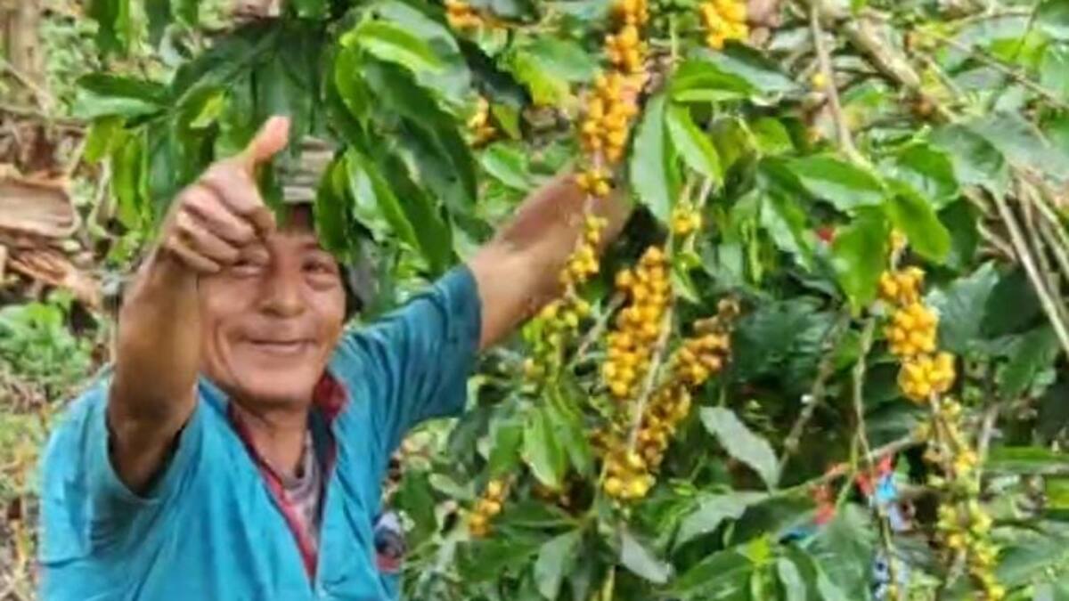Miércoles 1 de octubre, las noticias más importantes de Armenia y Quindío