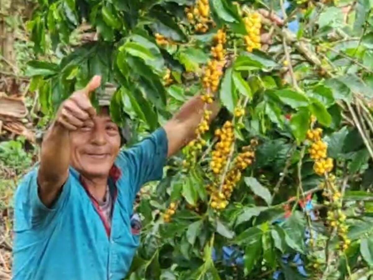 Miércoles 1 de octubre, las noticias más importantes de Armenia y Quindío