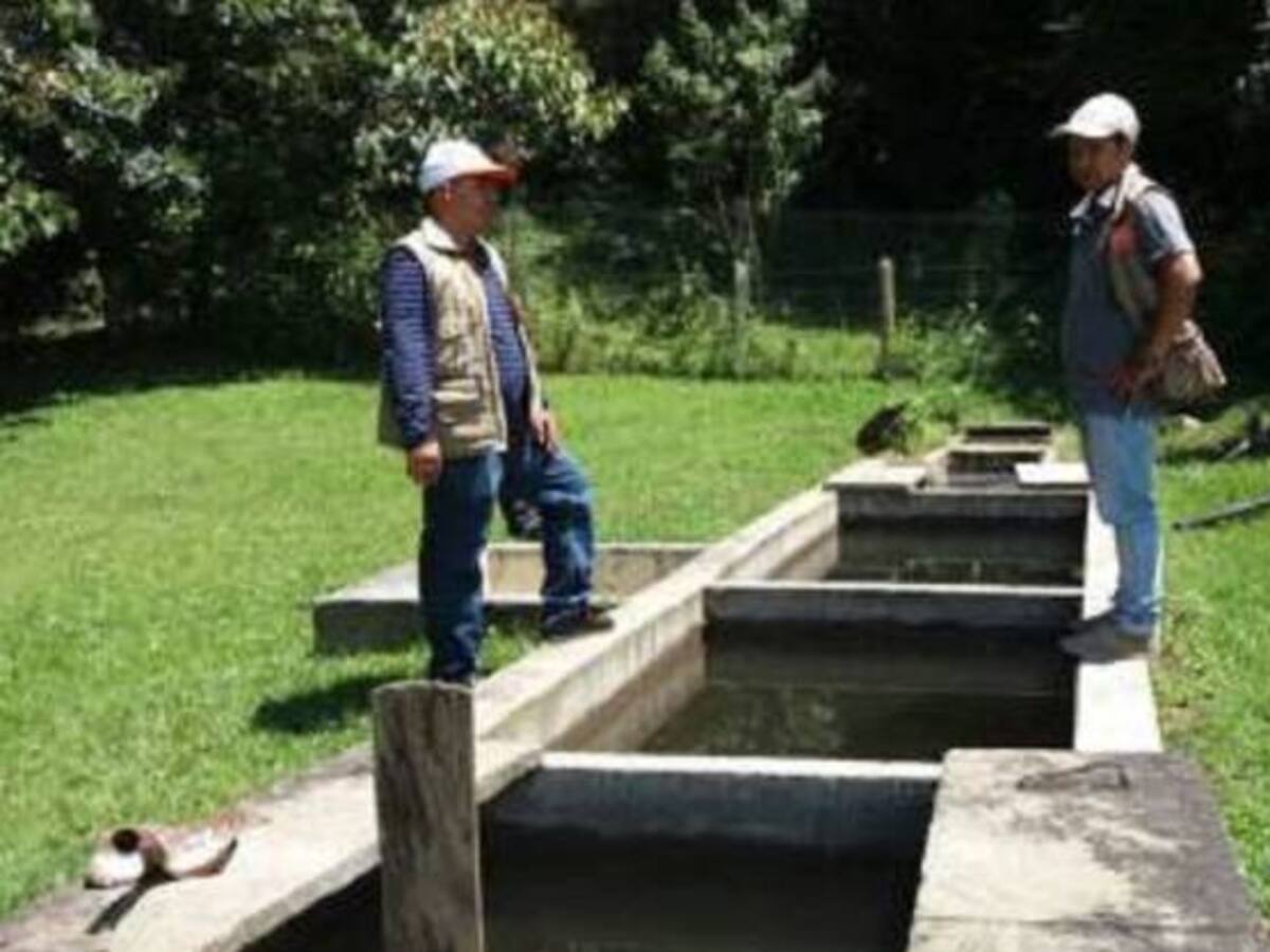 La Unión prestó 1.540 millones en bonos `Carrasquilla` y pagará 5.400