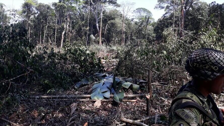 Fiscalía imputa a 5 personas por deforestación en zona de reserva indígena, en Guaviare. Foto: La W